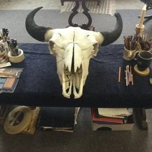 Buffalo Skull