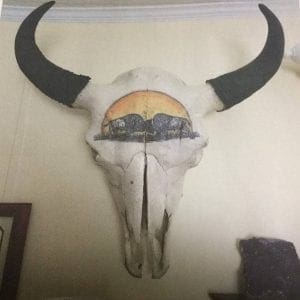 hand painted buffalo on skull