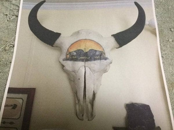 hand painted buffalo on skull