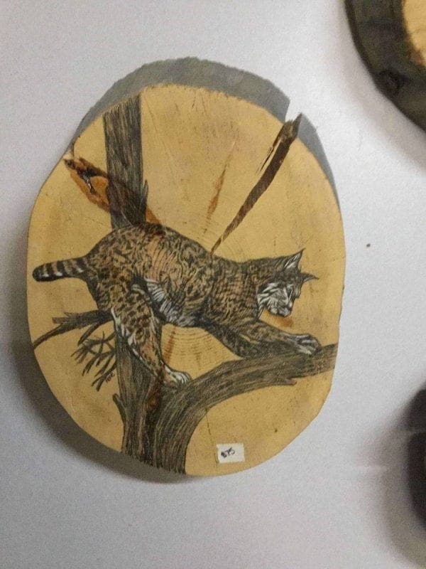 Hand Painted bobcat on log