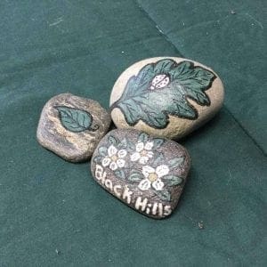 Hand Painted Black Hills Rocks