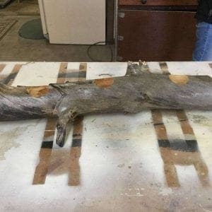 Log wood candle holder