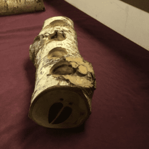 Custom Painted Log Candle Holder