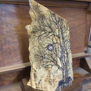 Hand Drawn Aspen Tree and Moon